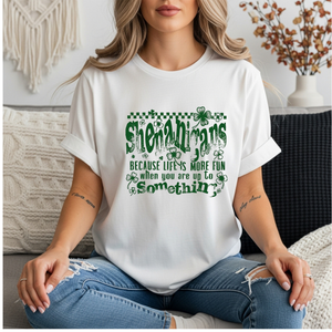 Shenanigans TheCraftNook