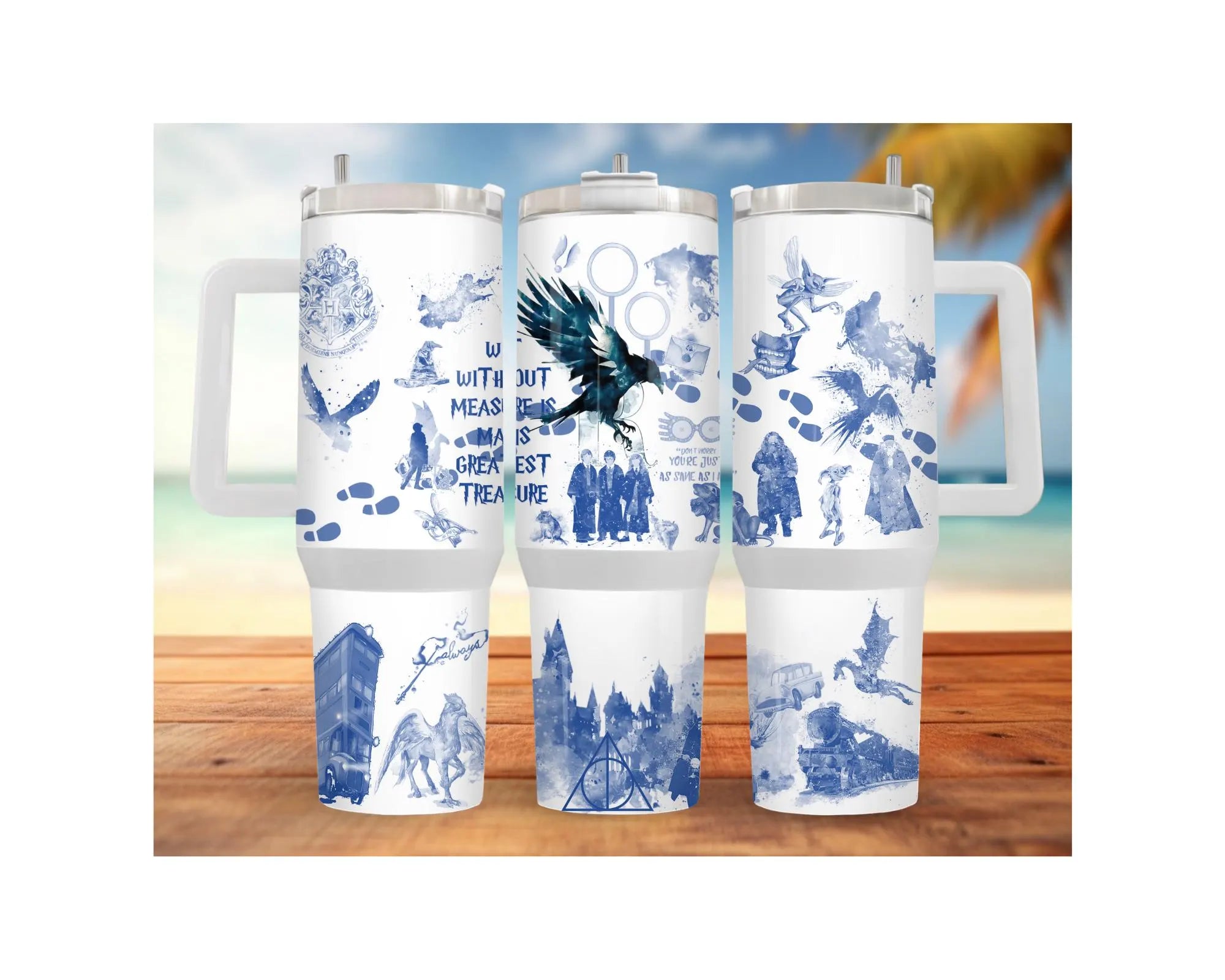 Eagle House pride stainless steel tumblers in multiple artistic designs showcasing beach scenes.